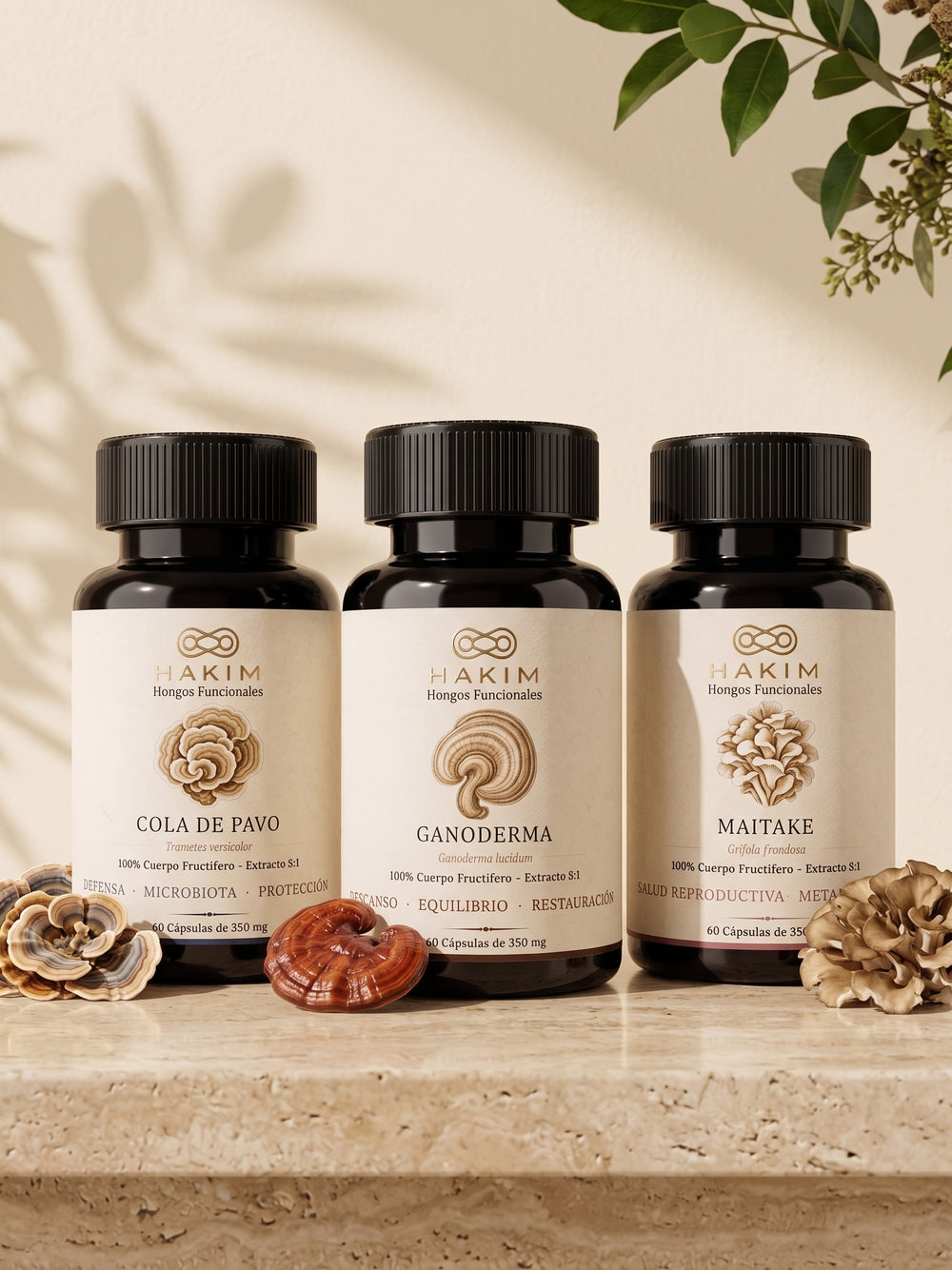 Cola de Pavo + Ganoderma + Maitake