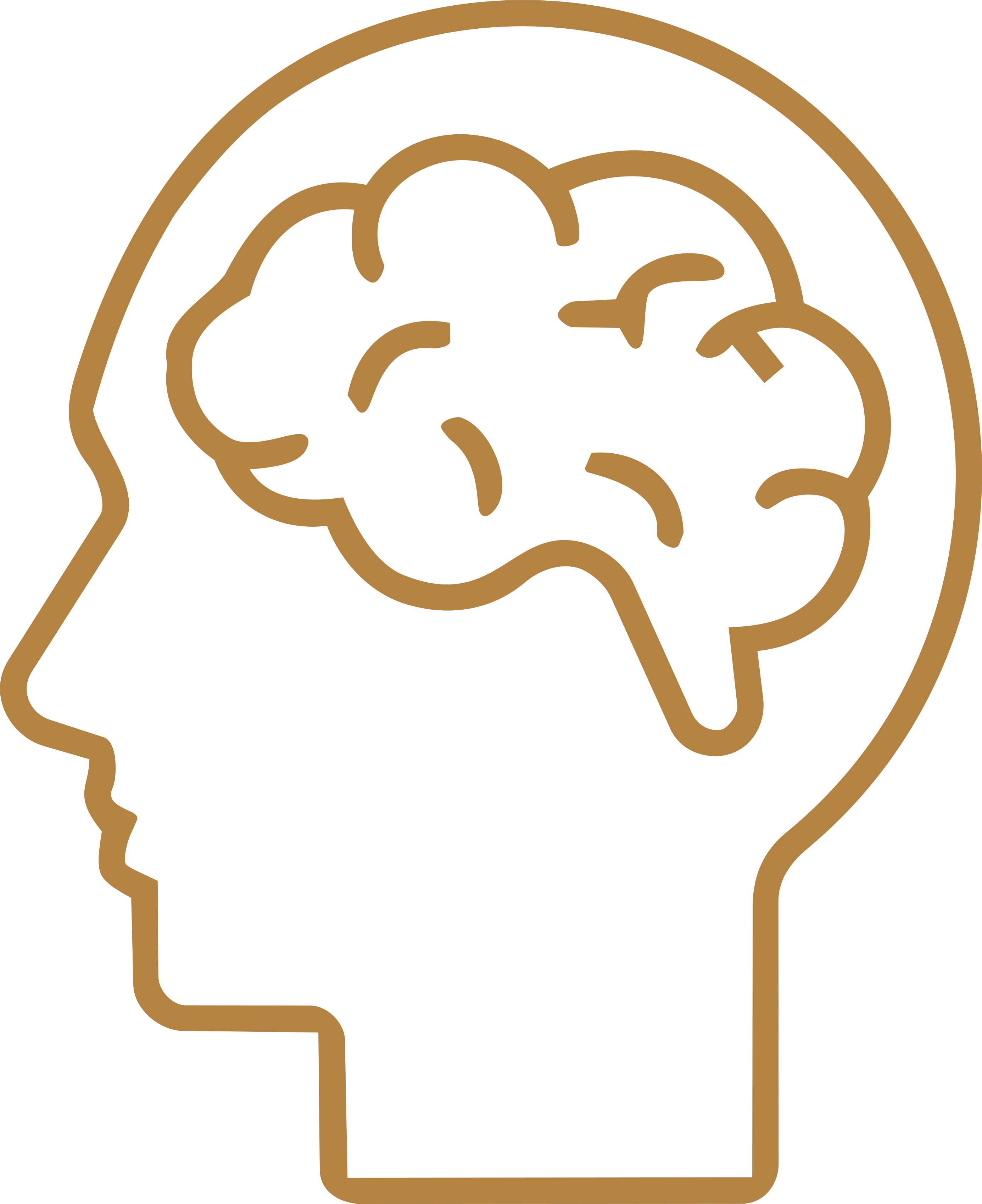 Función Cognitiva 