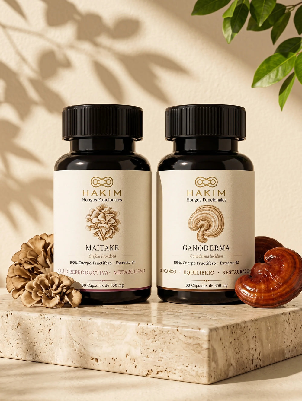 Maitake + Ganoderma