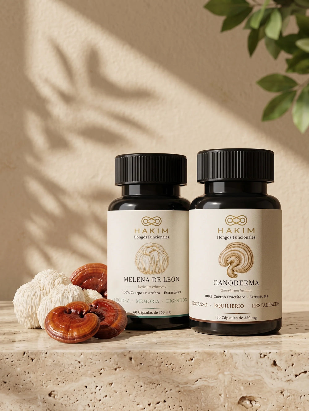 Melena de León + Ganoderma