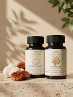 Melena de León + Ganoderma